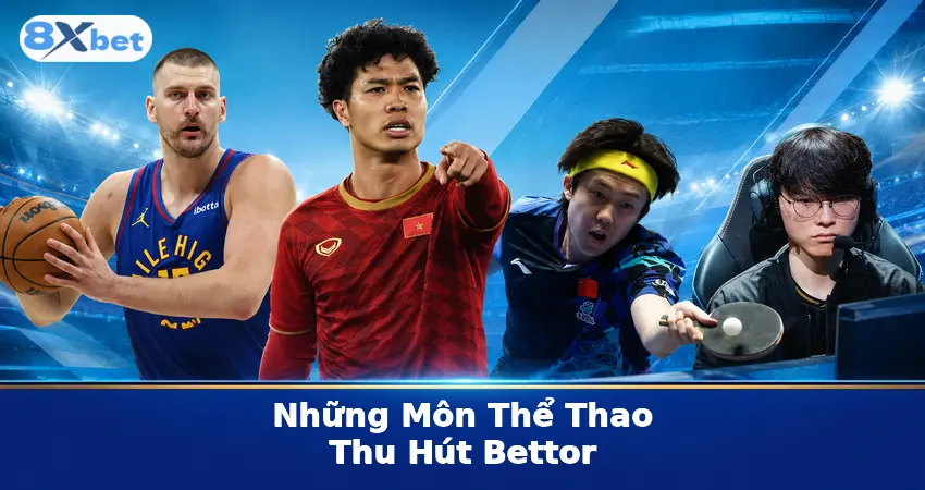 Những Môn Thể Thao Thu Hút Bettor